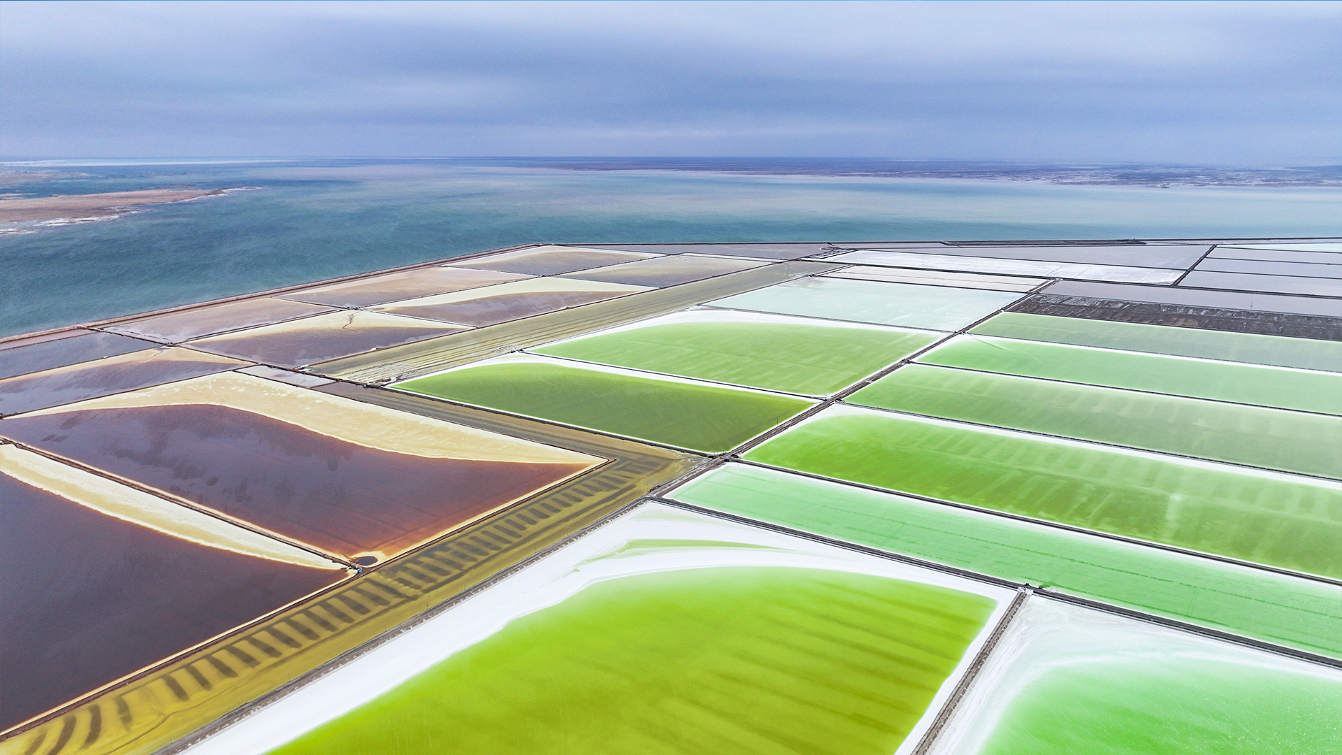 世界的な専門知識でリチウム抽出をリード