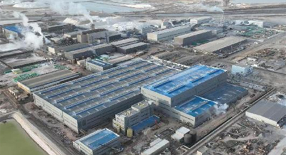 膜プロセス：20,000 t/a LCE