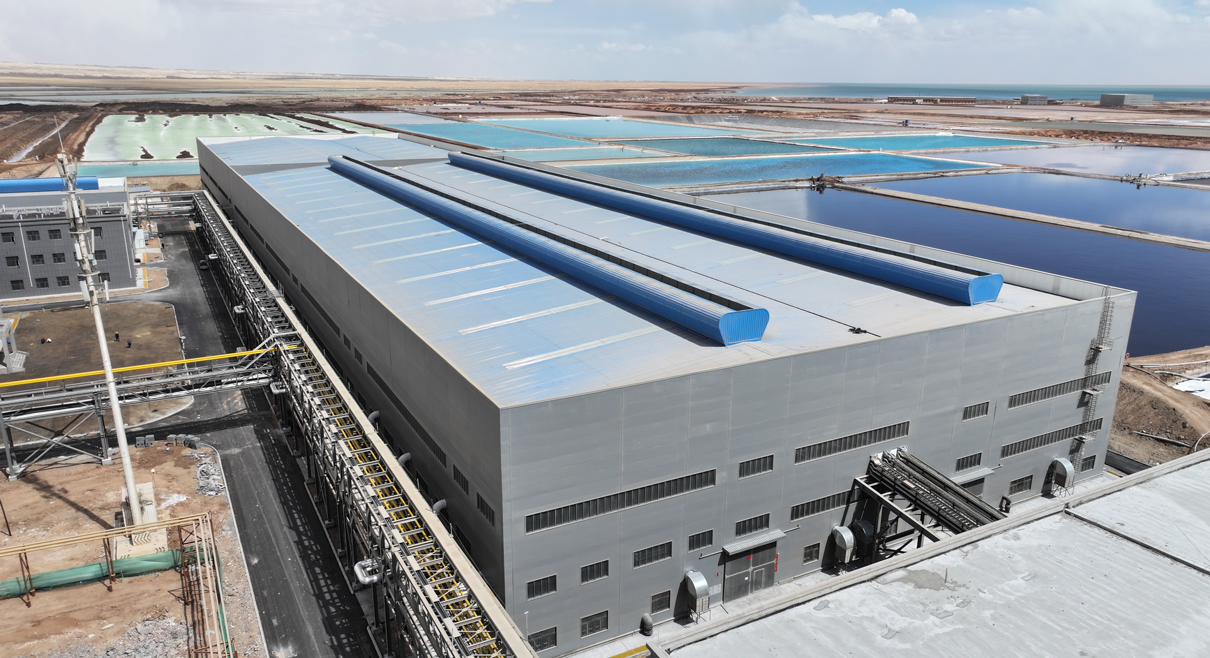 吸着結合膜プロセス：15,000 t/a LCE